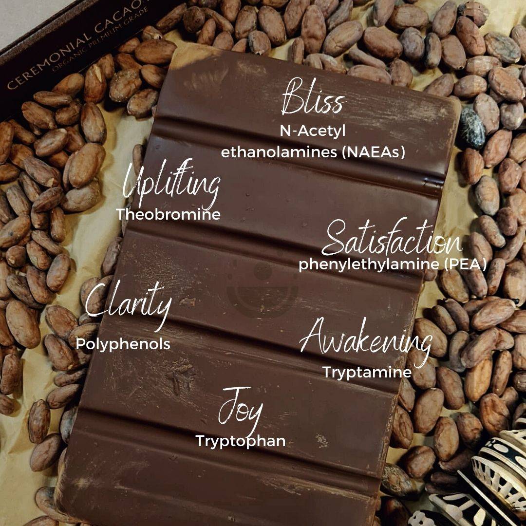 10 HEALTH BENEFITS OF CACAO THE SUPERFOOD FOR HEART BRAIN AND visual data 2